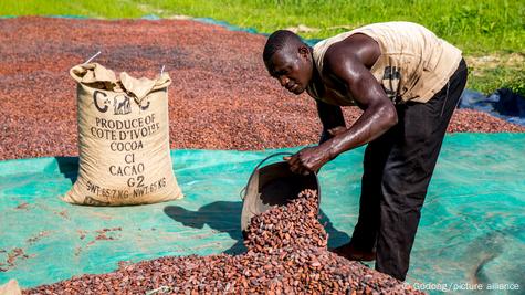 Ghana Sees Surge in Economic and Policy Momentum Across Key Sectors