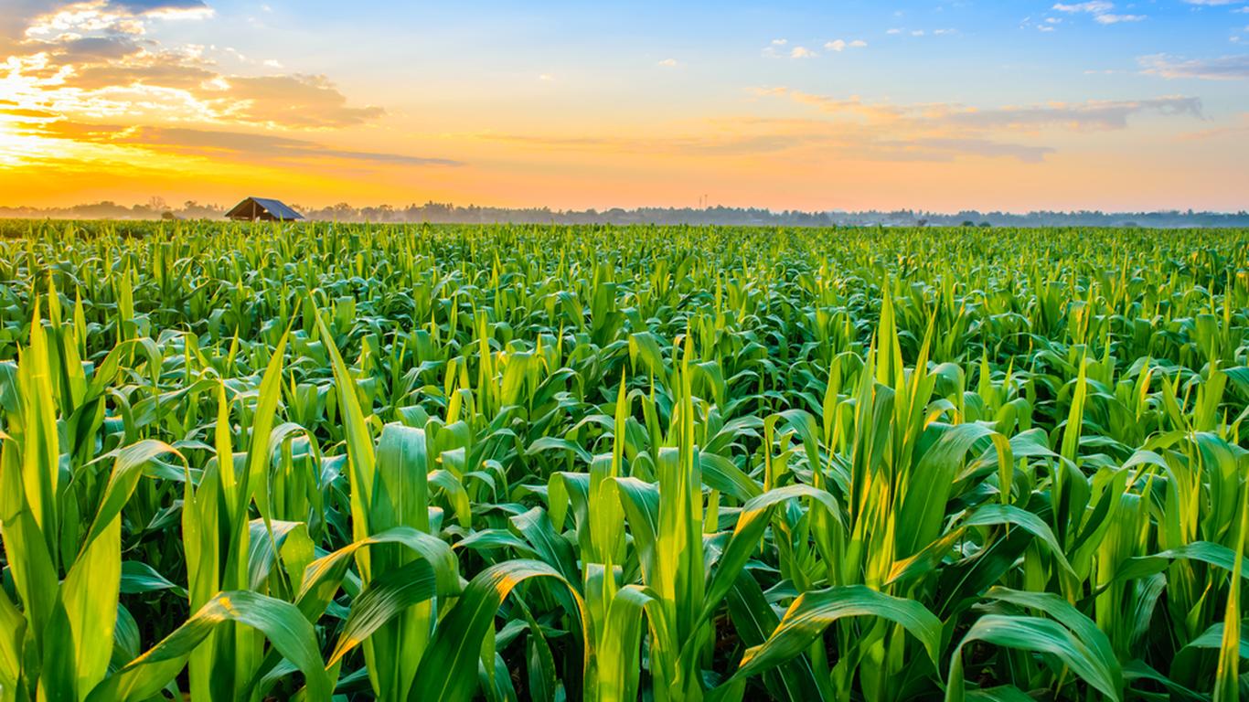 Gov’t, Development Partners Commit GHS 2.9bn to Strengthen Agriculture and Food Security